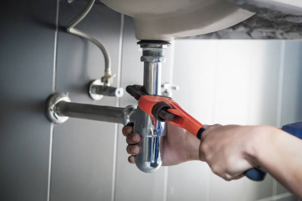 Best Plumbing Inspection Services  in University Park, IL